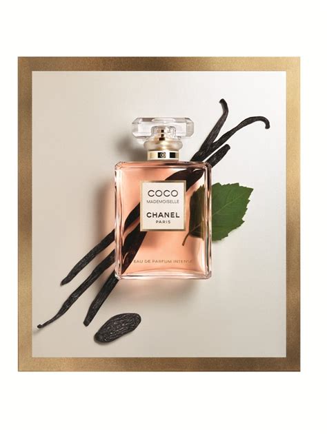 chanel mademoiselle nuty zapachowe|chanel coco mademoiselle.